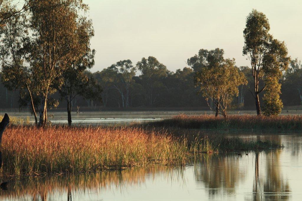 How we build community support and transfer knowledge Website and Facebook Newsletters Wetlands Watch monitoring field guide River Murray Wetlands Database Atlas Wetland Management Plans Consultancy