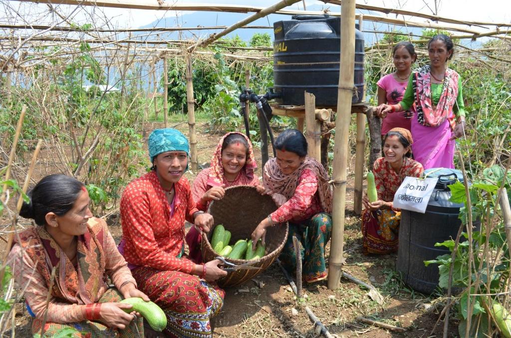 250,000 Micro Irrigation Systems Sold USAID Initiative for Climate