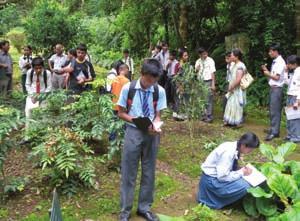 The final component, the Herbal Garden, in which schools were encouraged to set up herbal gardens within their school complexes.