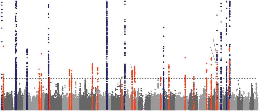 Figure 1 Genome-wide association results for GWAS meta-analysis, annotated with gene names.