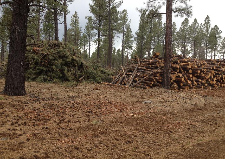 State Level Logging Utilization Objectives The goal was to update logging residue data for Arizona and New Mexico.