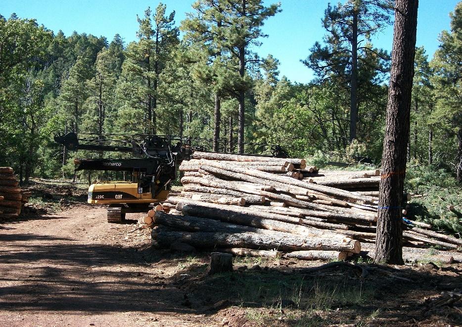 Results: Logging systems More than 93% of Arizona sites were mechanically felled, skidded tree length,