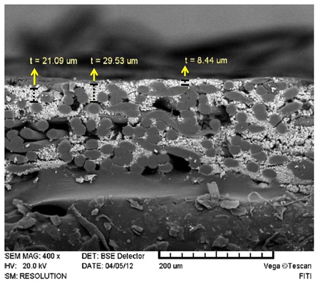 Cross-sectional SEM image of the HAp-coated filter prepared by spraying. influences the absorbability of the filter.