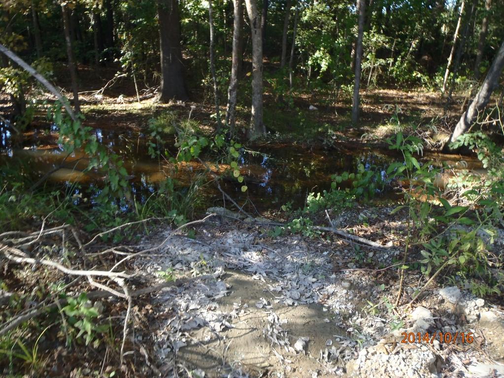 Ditch leading to outfall 001 with no evidence of concrete waste Photographer: Clark Baker Date: 10/16/2014 Time: 15:30