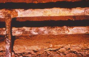 Stress corrosion Stress & corrosion work together at