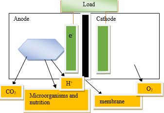 G. Chemical Flask in Membrane (Oxygen and Nutrients) Cation exchange membranes are not only permeable to transfer protons but also are permeable to transfer gases and other chemical materials.