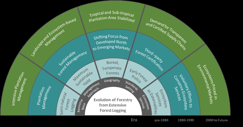 Responsible Investment in Forestry Institutional investment