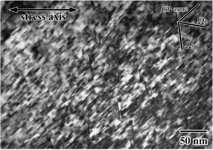Small plates with diameter 8 nm are dispersed on two of {111} planes, and the small dark spots observed in the image are small nuclei.