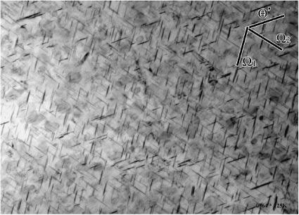2976 S. Muraishi, S. Kumai and A. Sato (a) (b) (c) Fig. 3 TEM microstructure of the specimens aged at 450 K for 196 h.