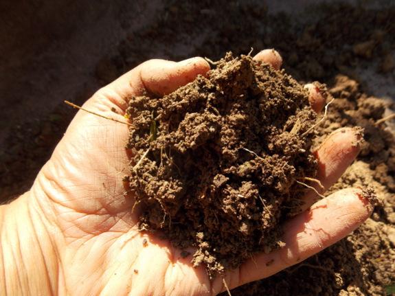 Why measure soil quality?