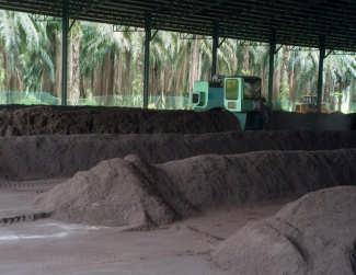 Biofertiliser Palm-based Biorefinery Production of