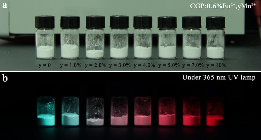 Figure S2. Photographs of CGP:0.6%Eu 2+,yMn 2+ (y = 0, 1.0, 2.0, 3.0, 4.0, 5.0, 7.0, 10%) phosphors: (a) under fluorescent lamp and (b) under 365 UV lamp.
