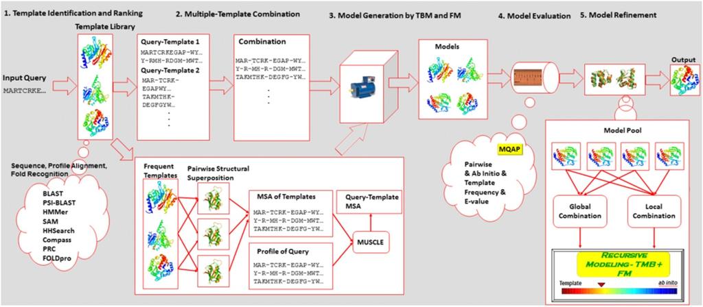 Li et al. BMC Structural Biology 2013, 13:2 Page 3 of 14 Figure 1 The five-layer architecture of the MULTICOM protein structure prediction system.