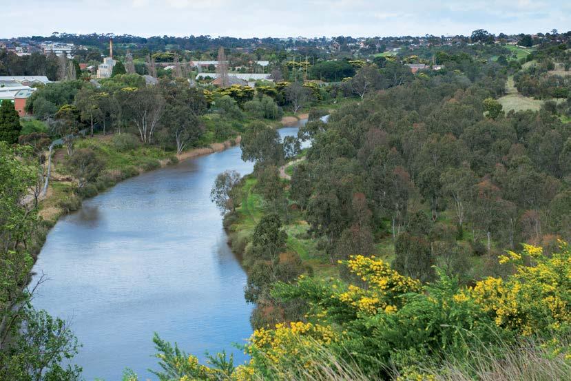 Waterways Local Update 2016-17 Melbourne Water s work to improve waterways and provide flood protection in the City of Moonee Valley. 7.