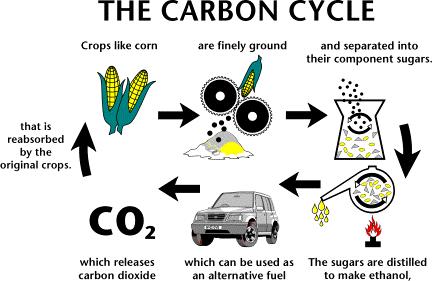 Commercial Carbon Cycle slide 7/22 Why biomass?
