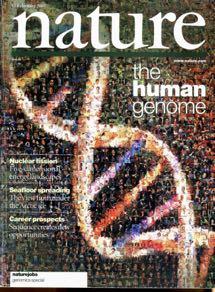 How large is the human genome?