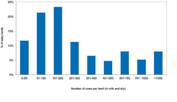 Figure 14: Size distribution of dairy cows per herd, 2015 (source: MPO estimates from October 2015 statutory survey) Figure 16: Distribution of herds based