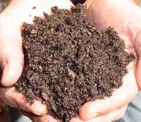 SOIL IS A VERY EFFECTIVE TREATMENT MEDIA, AND TREATMENT LEADING TO