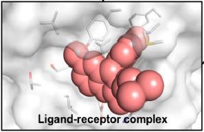 1. Structure-based drug design In SBDD, structure of the target protein is known and interaction or bio-affinity for all tested compounds calculate after the process of docking; to design a new drug