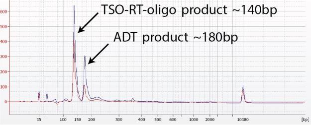 Hashtag library verification. (a) A TSO-RT-oligo product (~140 bp) can be amplified during the HTO PCR by carryover primers from cdna amplification.