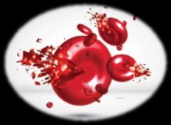 Hemolysis Immune response to transfused blood Potentially serious drug interaction Suspected Hemolysis