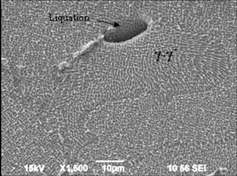 Figure 10. SEM micrograph of eutectic - incipient melting.