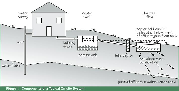How does a Drainage Field treat wastewater?