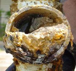 drain? Pipes get clogged!