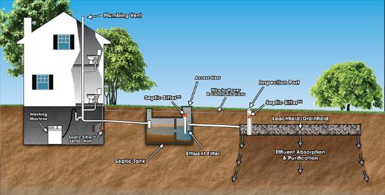 The Basic Septic System The