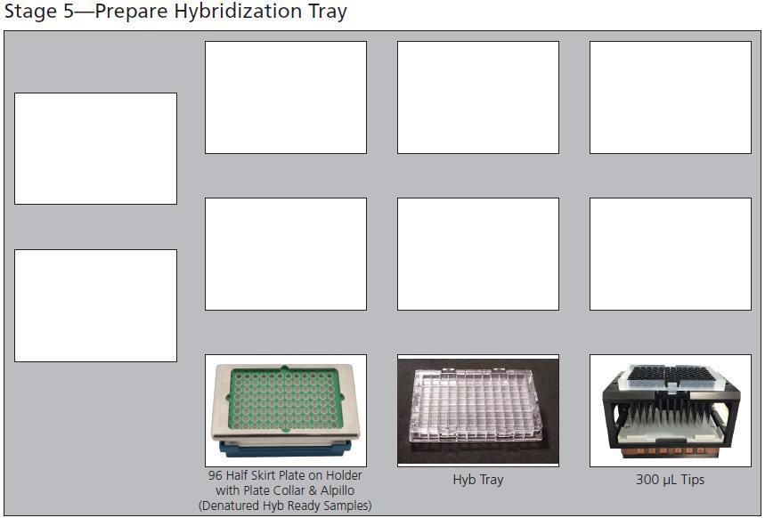 3. Perform Sample Denaturation 1. Place Hyb Ready plate in thermal cycler block, secure lid and start the Axiom 2.0 Denature program. 2. Once the Axiom 2.