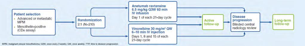 Anetumab Ravtansine Promising Profile Shown in Phase I* Single-agent anetumab ravtansine administered at 6.