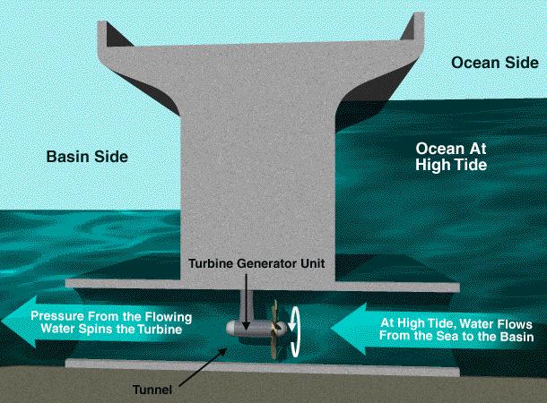 Energy from tides Similar to hydro-electric dam Turns