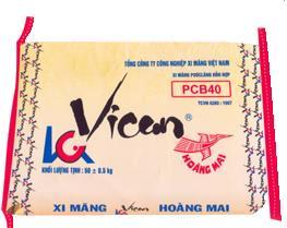 3. Enterprise analysis VICEM Hoang Mai Cement Joint