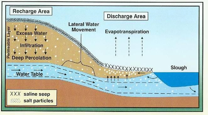 Ground Water Flow