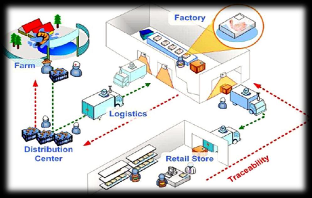 7. Fulfillment & Logistics Optimizing fulfillment and logistics operations can result in savings that impact cash flow Efficient transportation network support supply chains.