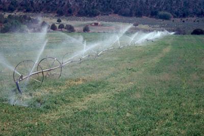 SPRINKLERS, CROP WATER USE, AND IRRIGATION TIME BEAVER COUNTY Robert W.