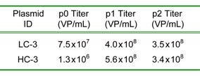 Both constructs produced high-titer virus stocks exceeding 3 10 8 VP/mL and support transduction MOI ratios in excess of 10 for each BacMam without the need for concentration or diafiltration of the