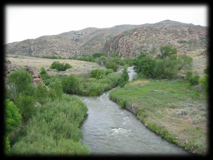 Development of Nutrient Criteria for Wyoming Streams and