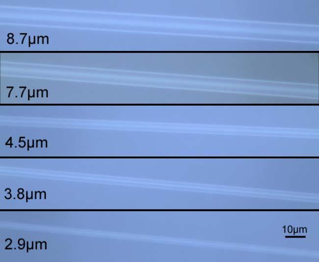 Fig. 1. Microscope images of the fabricated microfibers with different diameter. inscription [5].