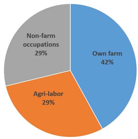 Agriculture still the major source of primary employment Agriculture directly provides >70% of