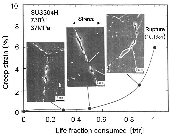 Figure 1: Progress of creep cavitation with increasing life fraction consumed for commercial austenitic stainless steel (SUS304H) at 750 and 37MPa Among the two processes of creep cavitation, cavity