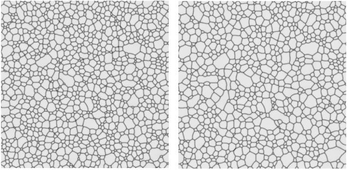 (a) (b) (c) FIG. 8. The microstructural evolution of grain growth with solute drag in a 2D polycrystalline system. (a) t 5000; (b) t 10,000; (c) t 15,000; (d) t 20,000.