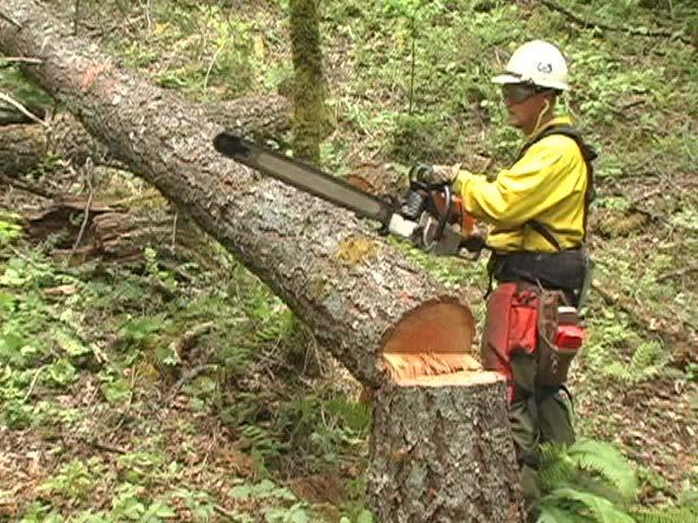 End Bind (Wildland Fire Chain Saws, S-212 Video, National