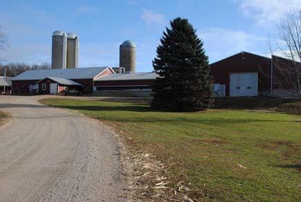 Expansion Phase In 1999, we remodeled the old stanchion barn and put in a double 6 step-up parlor A new 150 cow freestall barn, holding pen and lagoon where built Cows numbers increased to 160- many