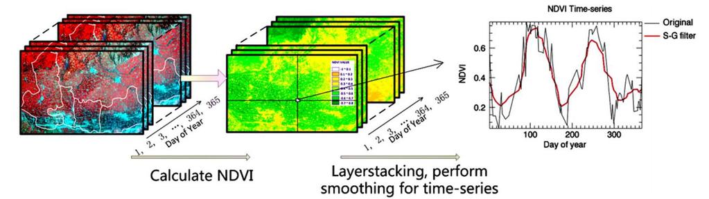 Crop type mapping Agriculture mask Time Series