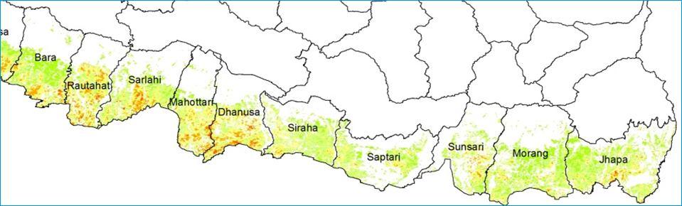 Operationalizing Agriculture monitoring system in Nepal SERVIR Phase I Legend NDVI