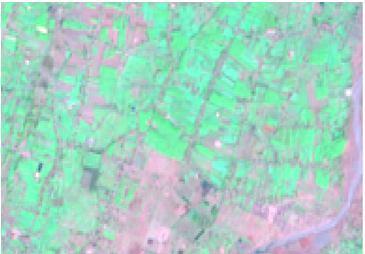 shadow and water masking Seasonal crop map of 2014,2015 and