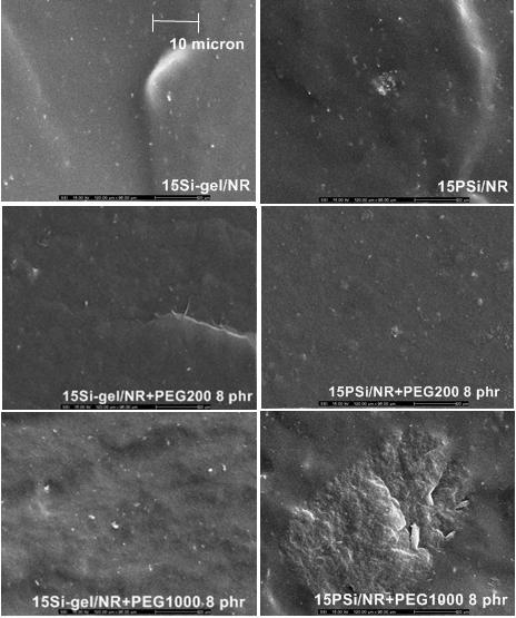 Figure 14 Swelling ratios of NR vulcanizates (a) (b) (c) (e) (d) (f) Figure 15 SEM Micrographs of 15PSi/NR+PEG and 15Si-gel/NR+PEG vulcanizates It is very clear from SEM micrographs shown in Figure
