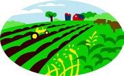 Part II: Implementation Plan Introduction The Cayuga County Agriculture and Farmland Protection Board (AFPB), after collecting and reviewing participant input from public discussion meetings, focus