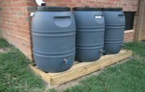 Rain Barrels and Cisterns Rain Barrels and Cisterns are a system that collects and stores storm water runoff from a roof or other impervious surface.